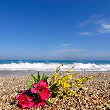 Almyra Beach House Corfu Plage d'Almiros Extérieur photo