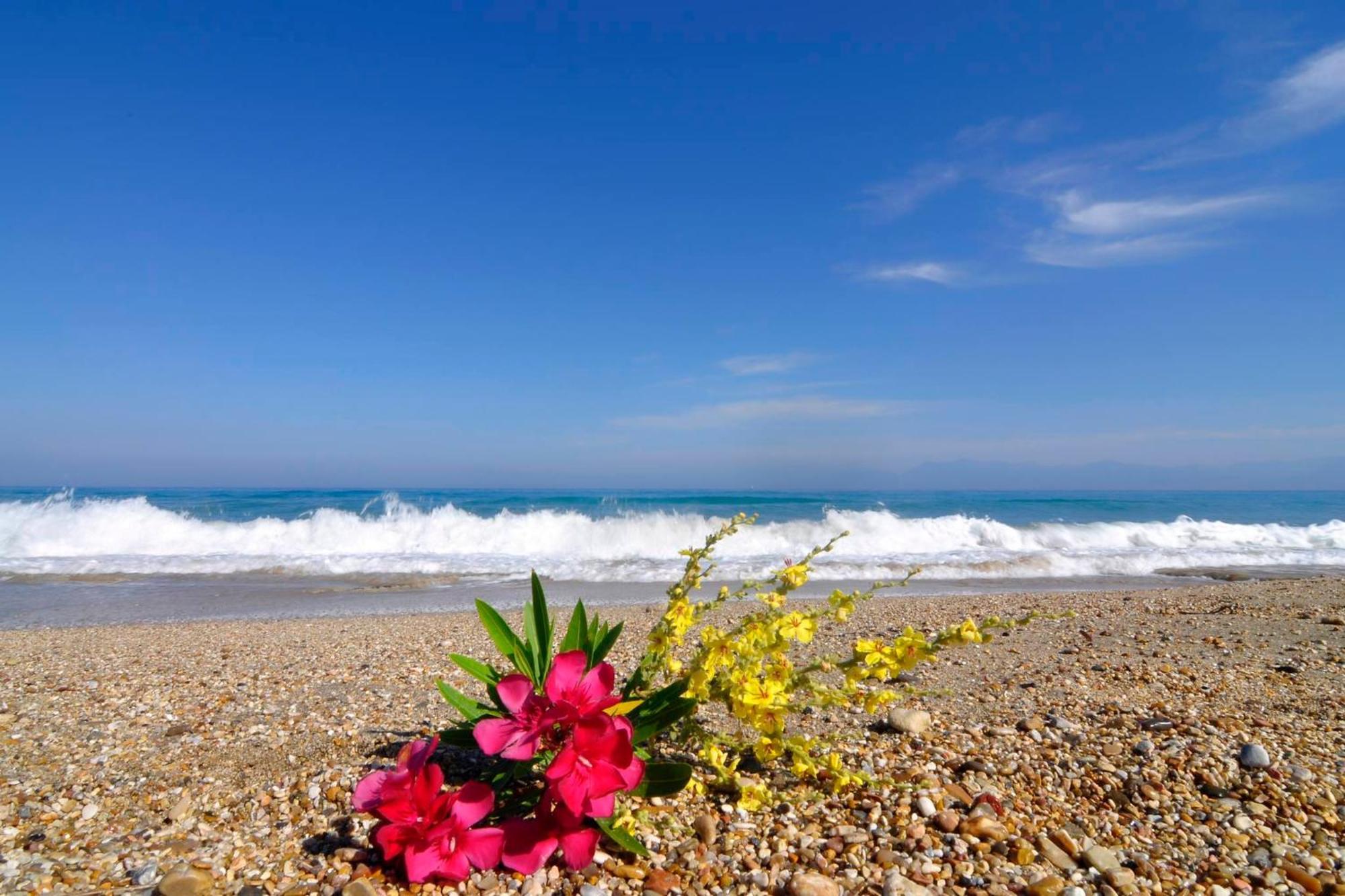 Almyra Beach House Corfu Plage d'Almiros Extérieur photo